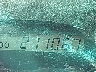 JTJBT20X440****** Salvamento 2004 Lexus GX