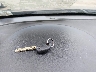 5XYKT3A1XBG****** Salvamento 2011 Kia Sorento en Estado de Virginia