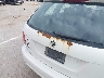3VWPL7AJ8EM****** Salvage and Repairable 2014 Volkswagen Jetta Sportwagen in New Hampshire State