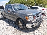 1FTFX1CFXDF****** Salvage and Wrecked 2013 Ford F-150 in Gulf Coast