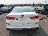 5XXGT4L36KG****** Wrecked 2019 Kia Optima