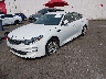 5XXGT4L36KG****** Used and Repairable 2019 Kia Optima in Portland