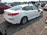5XXGT4L36KG****** Salvage and Wrecked 2019 Kia Optima in Oregon State