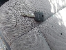 1FTRX14W56F****** Salvamento 2006 Ford F-150 en Estado de Maryland