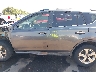 JTMRFREV3FD****** Salvamento 2015 Toyota RAV4