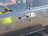 JTMRFREV3FD****** Salvamento y Reparables 2015 Toyota RAV4 en Raleigh