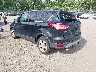 1FMCU9GX7DU****** Salvamento y Reparables 2013 Ford Escape en Templeton