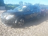 JN8AT2MV3KW****** Usados y Reparables 2019 Nissan Rogue en Long Island