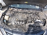 5NPEB4AC1DH****** Reparables 2013 Hyundai Sonata en Cleveland