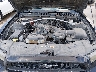 1ZVBP8AM1D5****** Repairable 2013 Ford Mustang in Dallas-Fort Worth