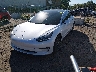 5YJ3E1EA8LF****** Usados y Reparables 2020 Tesla Model 3 en Electric Vehicle Auctions