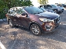 5XYPG4A31GG****** Salvage and Wrecked 2016 Kia Sorento in Nashville