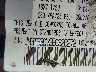 JM3TB3CV3B0****** Used 2011 Mazda CX-9 in Baltimore