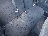 JTLKT324350****** Destrozados 2005 Scion xB en Long Island