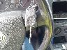 3VWRJ71KX8M****** Salvamento 2008 Volkswagen Jetta en Estado de Nebraska