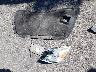 1N4AL3AP5FN****** Salvage 2015 Nissan Altima in Utah State