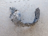 19UUA9F50BA****** Wrecked 2011 Acura TL in Washington State