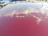 JTDKN3DU6B0****** Repairable 2011 Toyota Prius