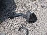 WBA3B9C57DF****** Wrecked 2013 BMW 335i in Indiana State