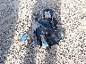2HGFG2A57AH****** Wrecked 2010 Honda Civic in Ohio State