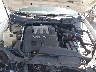 1N4BA41E27C****** Reparables 2007 Nissan Maxima en Charlotte
