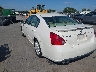 1N4BA41E27C****** Salvamento y Reparables 2007 Nissan Maxima en Charlotte