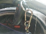 1N4AL21E48N****** Salvage 2008 Nissan Altima in Mississippi State