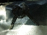 JT2BG22K7W0****** Salvamento 1998 Toyota Camry en Estado de Texas