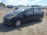 5NPDH4AE8GH****** Salvamento y Reparables 2016 Hyundai Elantra en Estado de California