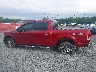 1FTEW1EFXFF****** Repairable 2015 Ford F-150 in New Jersey State