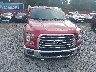 1FTEW1EFXFF****** Repairable 2015 Ford F-150