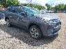 JTMDWRFV9KD****** Salvage and Wrecked 2019 Toyota RAV4 Hybrid in Sayreville