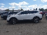 2HKRW2H84KH****** Repairable 2019 Honda CR-V in Michigan State