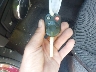 1FADP3K23DL****** Salvage 2013 Ford Focus in Maryland State