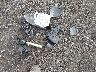 2HGFC2F62MH****** Wrecked 2021 Honda Civic in New York State