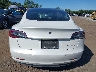 5YJ3E1EC1LF****** Wrecked 2020 Tesla Model 3