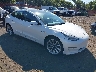 5YJ3E1EC1LF****** Salvage and Wrecked 2020 Tesla Model 3 in Sayreville