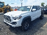 3TMCZ5AN2PM****** Used and Repairable 2023 Toyota Tacoma in Anaheim Consolidated
