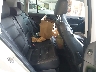 WVGBV7AX1GW****** Destrozados 2016 Volkswagen Tiguan en Newburgh