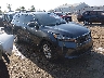 5XYPGDA32LG****** Salvamento y Destrozados 2020 Kia Sorento en Cincinnati