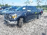 1FTFW1E8XPF****** Used and Repairable 2023 Ford F-150 in Dream Rides