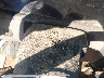 1N6ED26Y0XC****** Salvage 1999 Nissan Frontier in North Carolina State