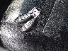 1N4AL3AP5DC****** Salvage 2013 Nissan Altima in Louisiana State