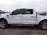 1FTFW1E51MF****** Salvage 2021 Ford F-150