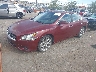1N4AA5AP0BC****** Used and Repairable 2011 Nissan Maxima in Albuquerque