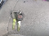 1HGCG16501A****** Salvamento 2001 Honda Accord en Estado de Arizona