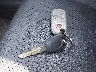 JH4CL96975C****** Salvage 2005 Acura TSX in Illinois State