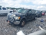1FTEW1E88AF****** Used and Repairable 2010 Ford F-150 in Elkton