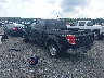 1FTEW1E88AF****** Salvage and Repairable 2010 Ford F-150 in Elkton