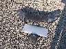 1FMCU0GX8FU****** Wrecked 2015 Ford Escape in Oregon State